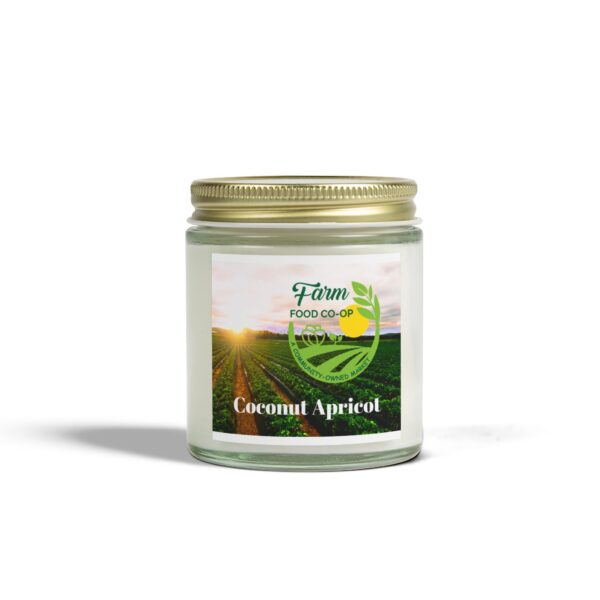 Coconut Apricot Scented Candle - Eco-Friendly 4oz & 9oz